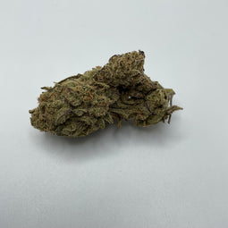 ***ELMER’S GLUE