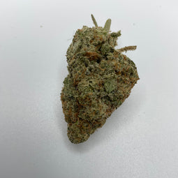 ***GORILLA GLUE