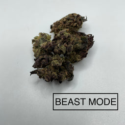 ***BEAST MODE