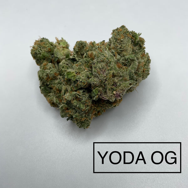 YODA OG – AAA WeedRunner