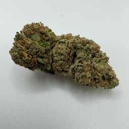 *** WHITE RHINO