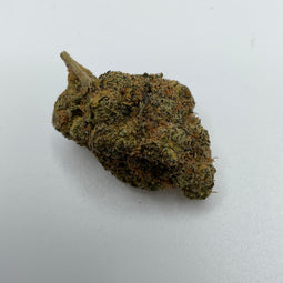 *** BLACK D.O.G