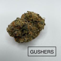 **AAAA BC GUSHERS