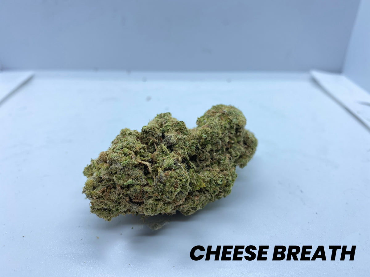 **AAAA BC CHEESE BREATH