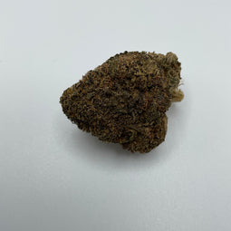**NORTHERN LIGHTS