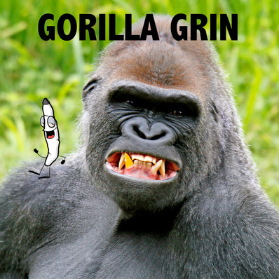 **AAAA BC GORILLA GRIN