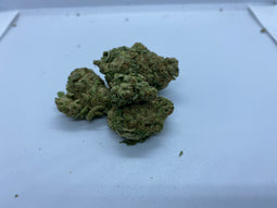 **ANIMAL COOKIES
