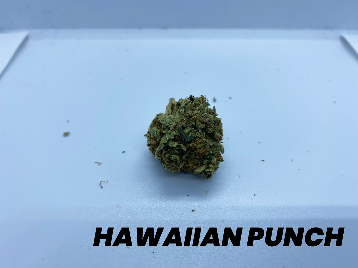 **AAAA BC HAWAIIAN PUNCH