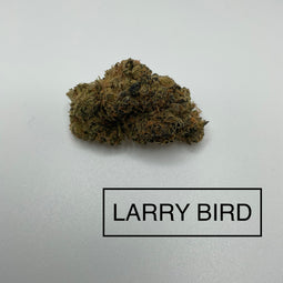 ***LARRY BIRD
