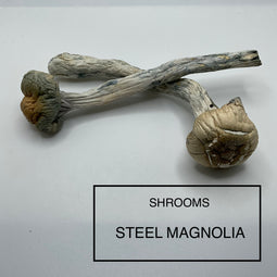 ***SHROOMS***- STEEL MAGNOLIA