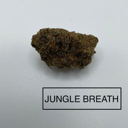 *** JUNGLE BREATH