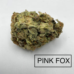 ***PINK FOX