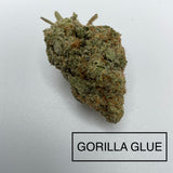 ***GORILLA GLUE