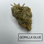 ***GORILLA GLUE