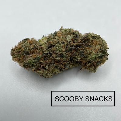 **AAAA BC SCOOBY SNACKS