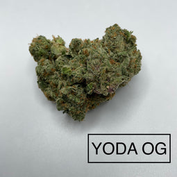 ***YODA OG
