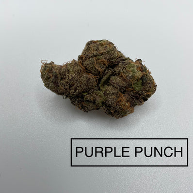 *** PURPLE PUNCH
