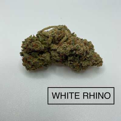 *** WHITE RHINO