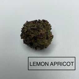 *** LEMON APRICOT