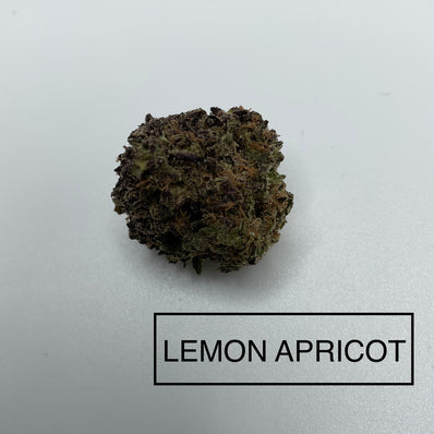 *** LEMON APRICOT