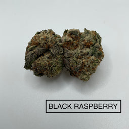*** BLACK RASPBERRY