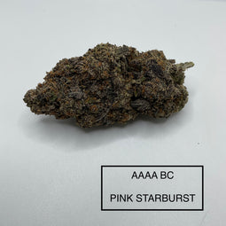 **AAAA BC PINK STARBURST