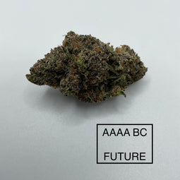 **AAAA BC FUTURE