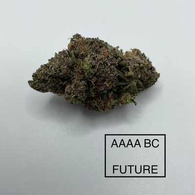 **AAAA BC FUTURE