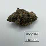 **AAAA BC FUTURE