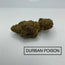 *** DURBAN POISON