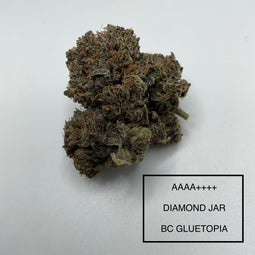 ***HIGH TIMES AWARD WINNER***AAAA ++++ AEROPONIC BC GLUETOPIA***DIAMOND COLLECTION***110 DAY FLOWER