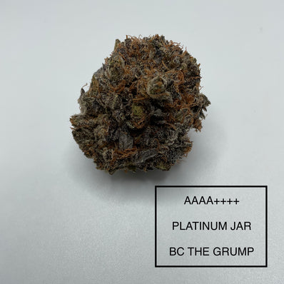 *** AAAA++++ “HIGH TIMES CANNABIS CUP WINNER” BC THE GRUMP***PLATINUM COLLECTION***108 DAY FLOWER
