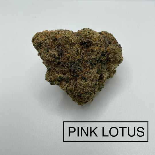 YODA OG – AAA WeedRunner