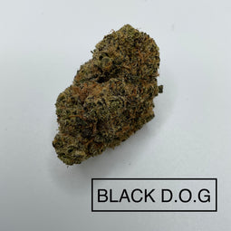 *** BLACK D.O.G