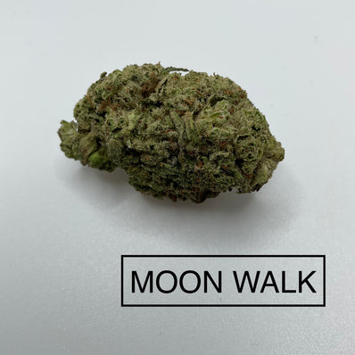 *** MOON WALK