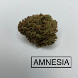 *** AMNESIA ***LIMITED QUANTITIES***