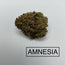*** AMNESIA ***LIMITED QUANTITIES***