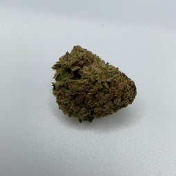 *** AMNESIA ***LIMITED QUANTITIES***