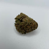 *** AMNESIA ***LIMITED QUANTITIES***