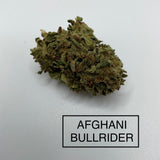 *** AFGHANI BULLRIDER ***LIMITED QUANTITIES***