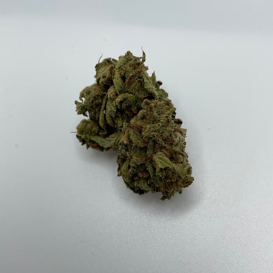 *** AFGHANI BULLRIDER ***LIMITED QUANTITIES***