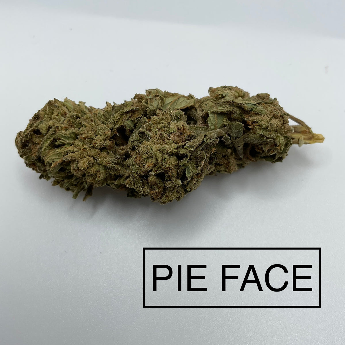 *** PIE FACE ***LIMITED QUANTITIES***