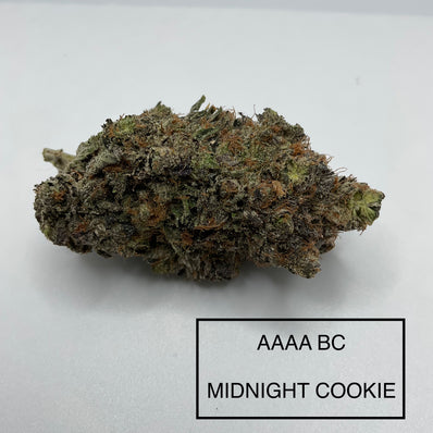 **AAAA BC MIDNIGHT COOKIE