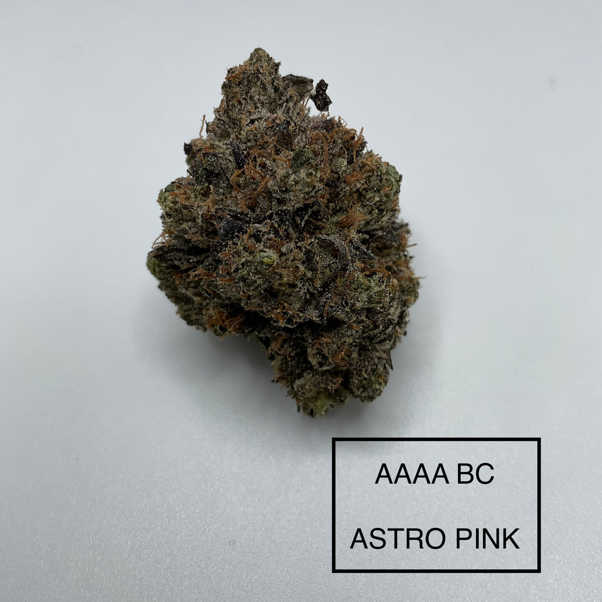 **AAAA BC ASTRO PINK