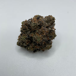 **AAAA BC ASTRO PINK