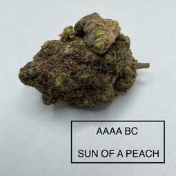 **AAAA BC SUN OF A PEACH