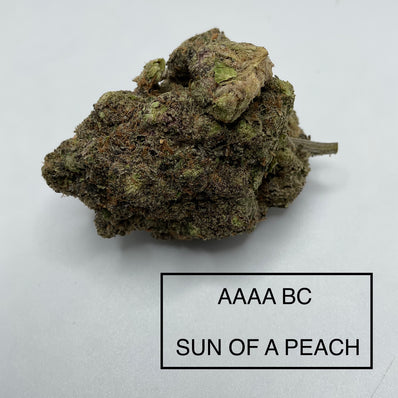 **AAAA BC SUN OF A PEACH
