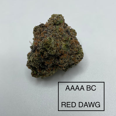 **AAAA BC RED DAWG