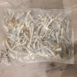 ***SHROOMS***- STEEL MAGNOLIA