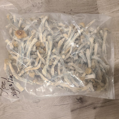 ***SHROOMS***- STEEL MAGNOLIA